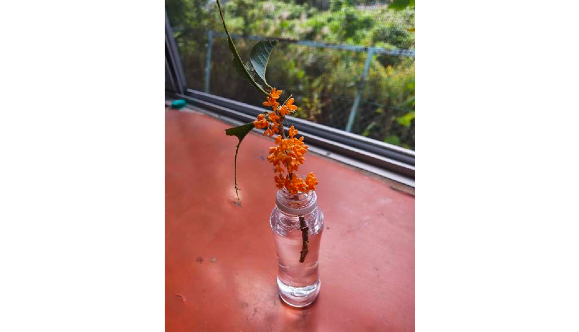 学童保育きたのかみの今月の様子