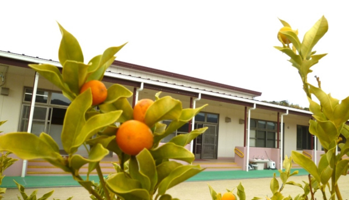 五月山こども園の今月の様子