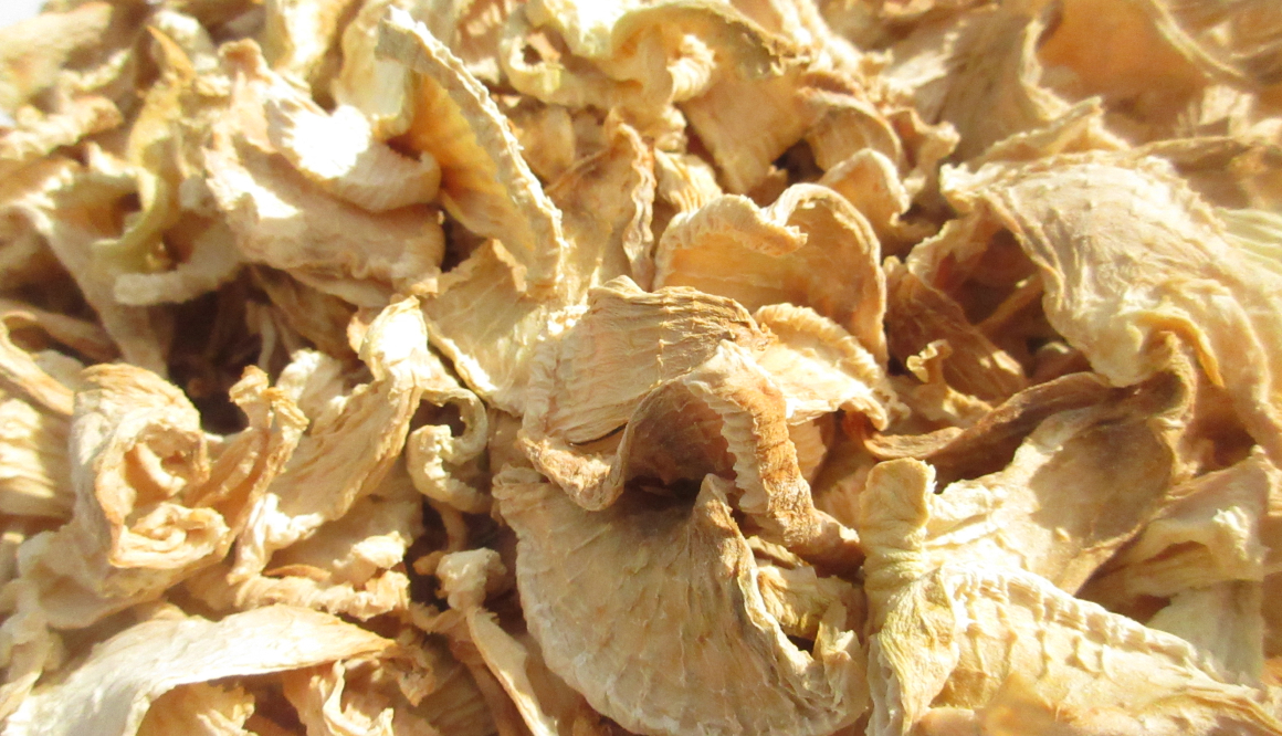 みなみ工房の今月の様子