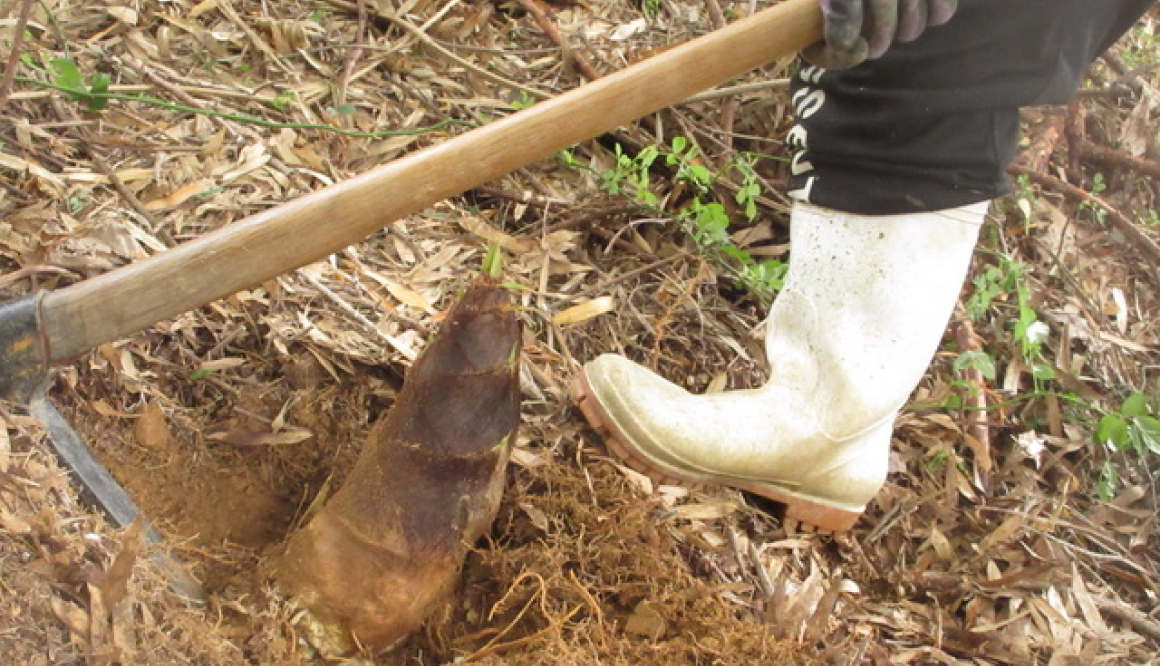 みなみ工房の今月の様子