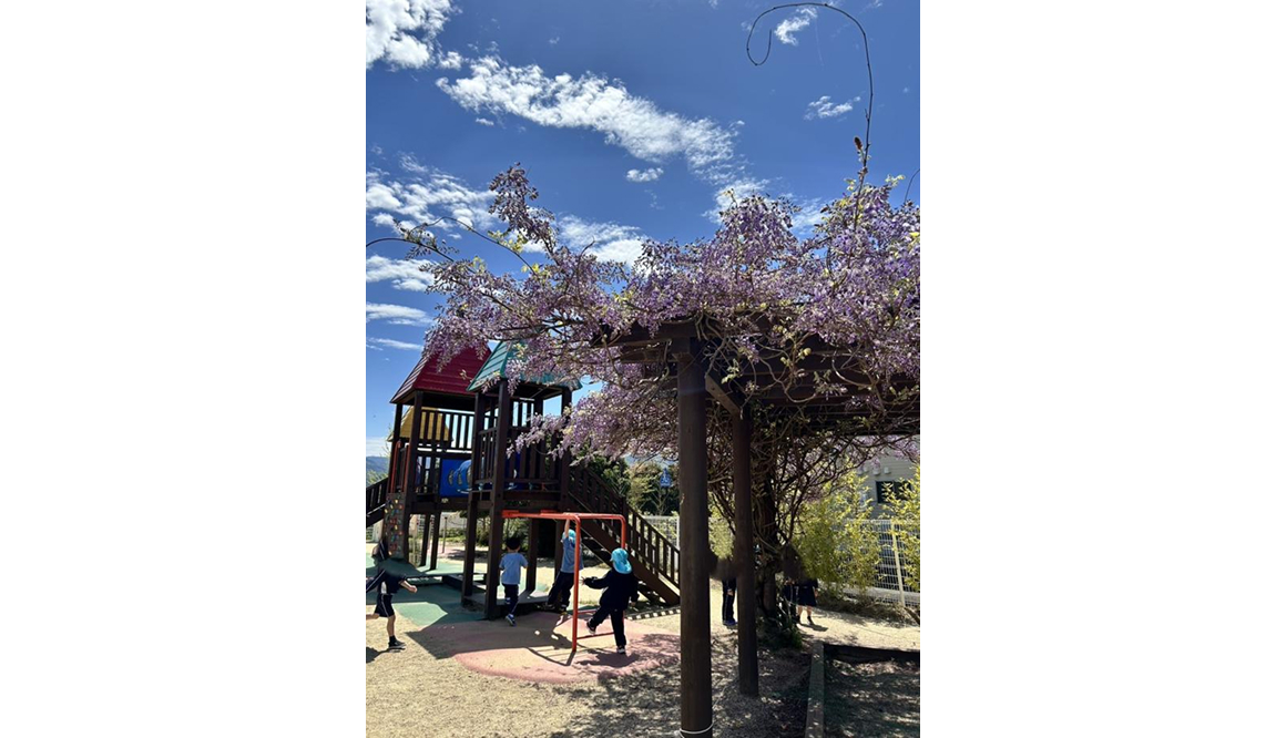 五月山こども園の今月の様子